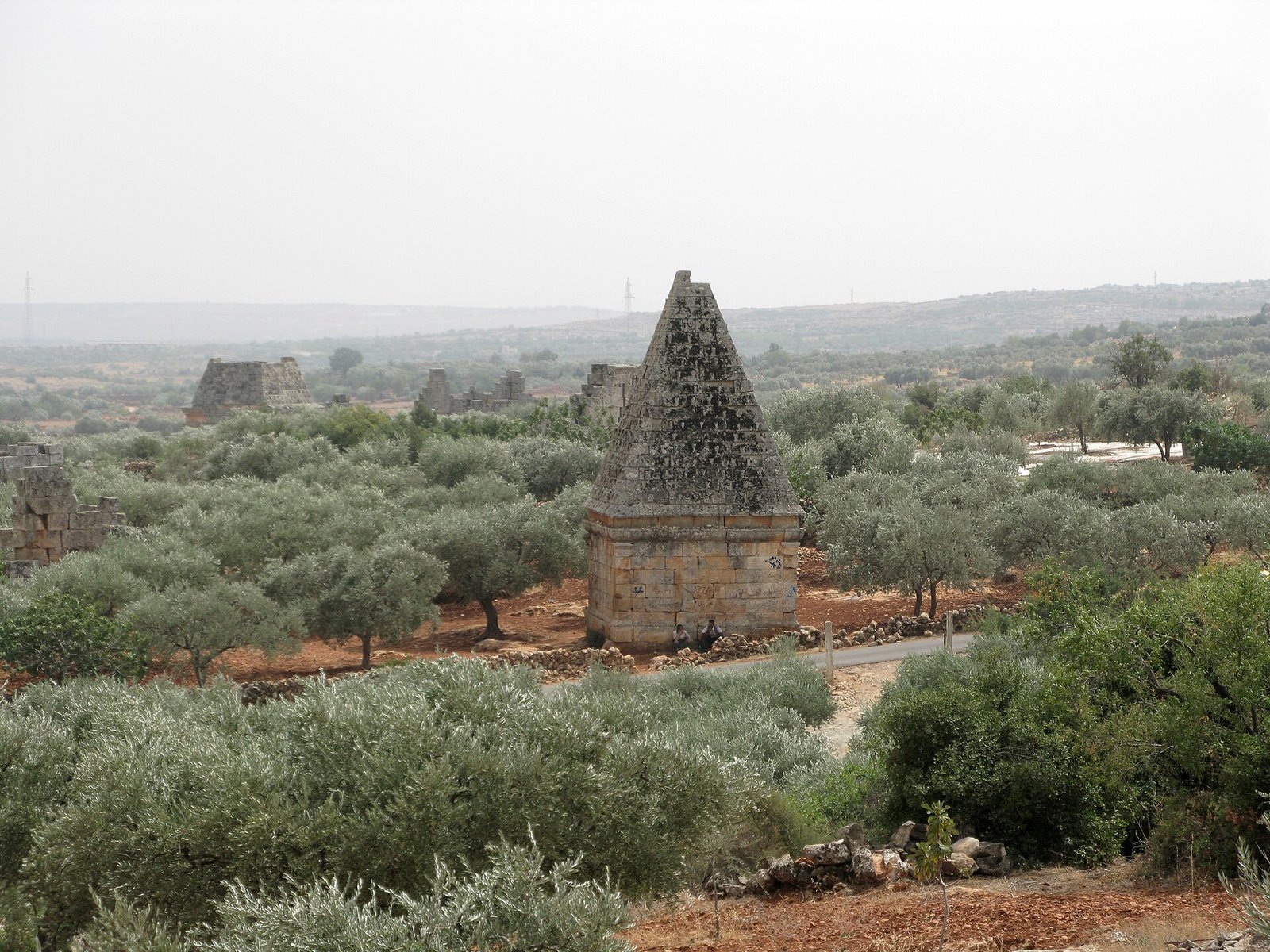 البارة