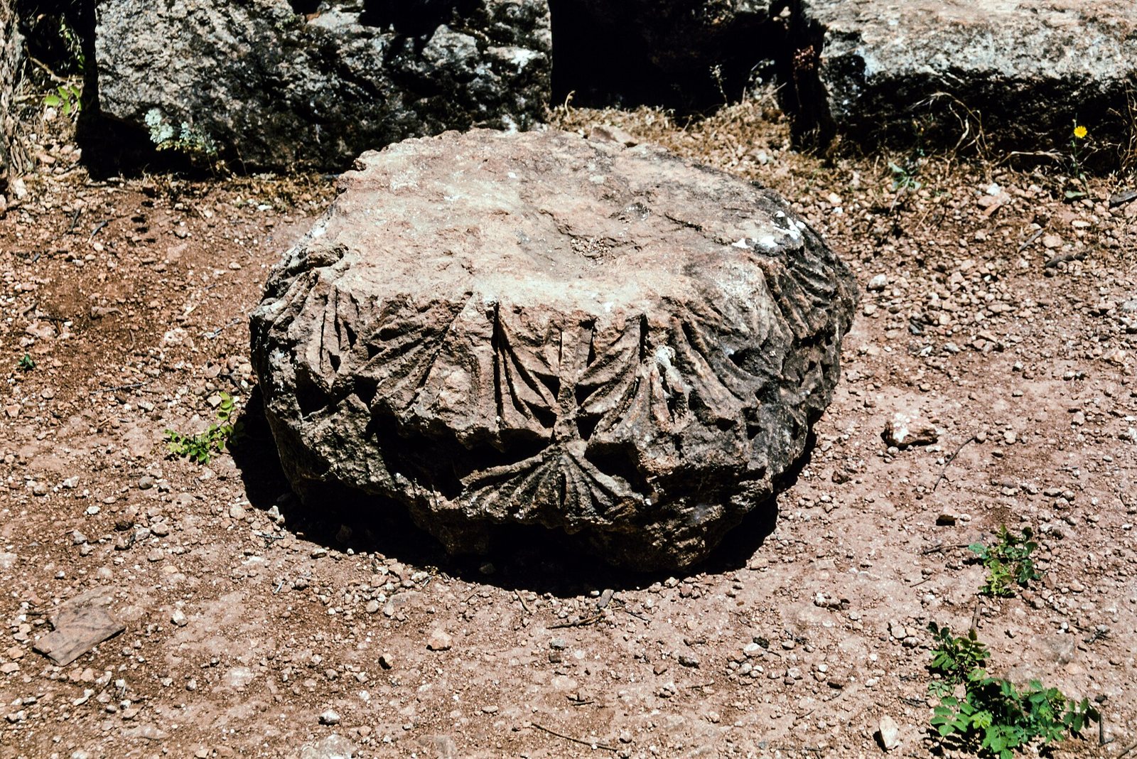 البارة