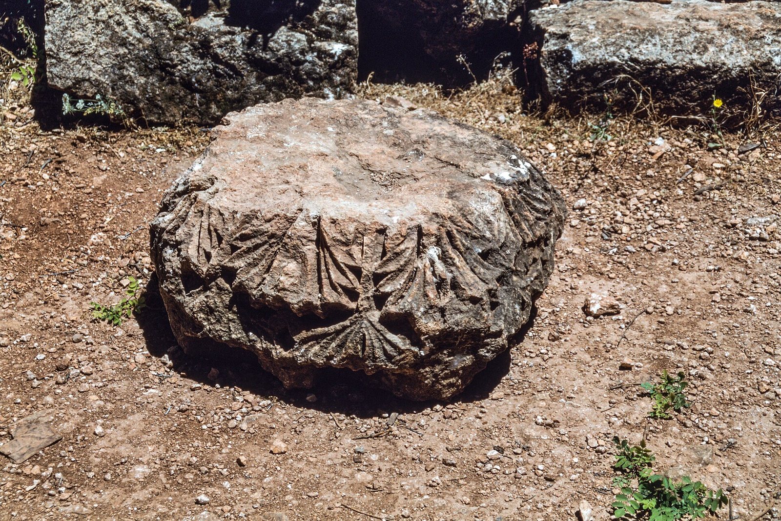 البارة