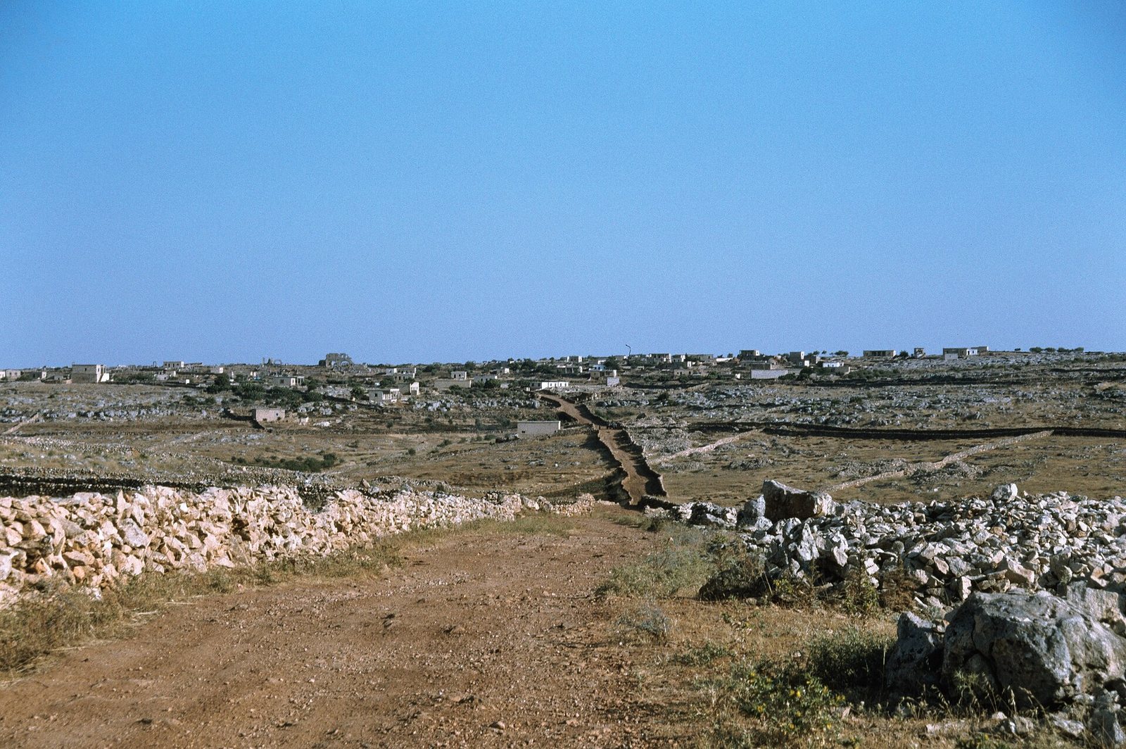 براد