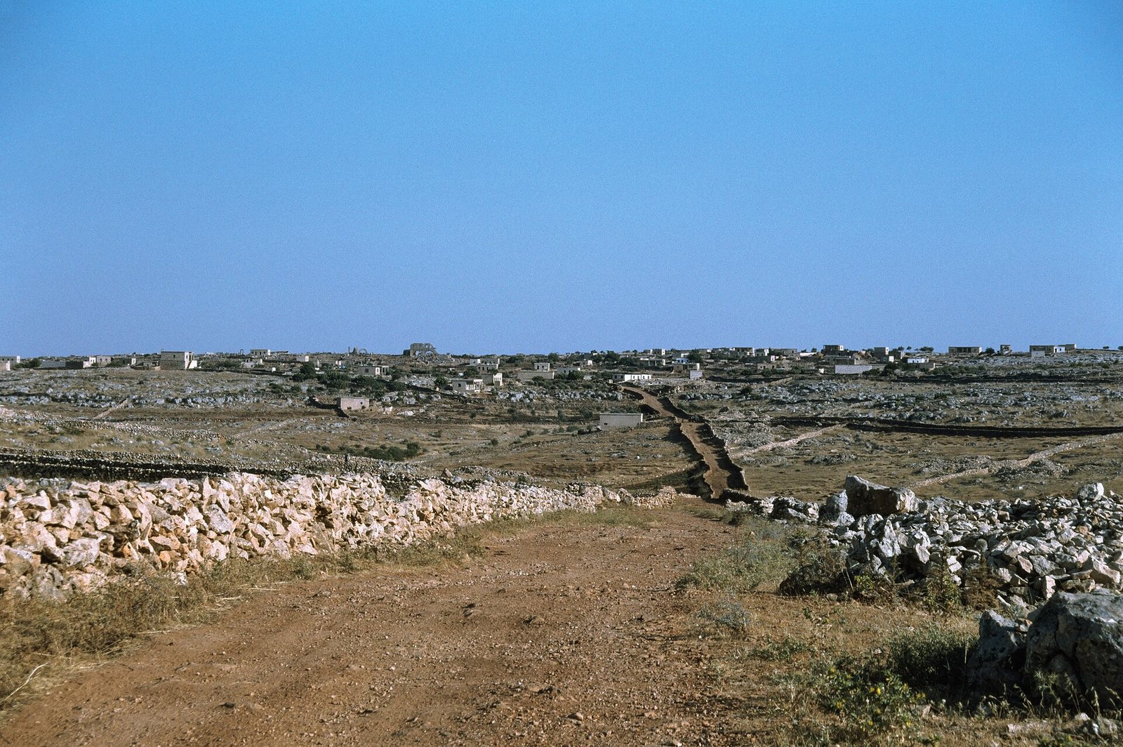 براد