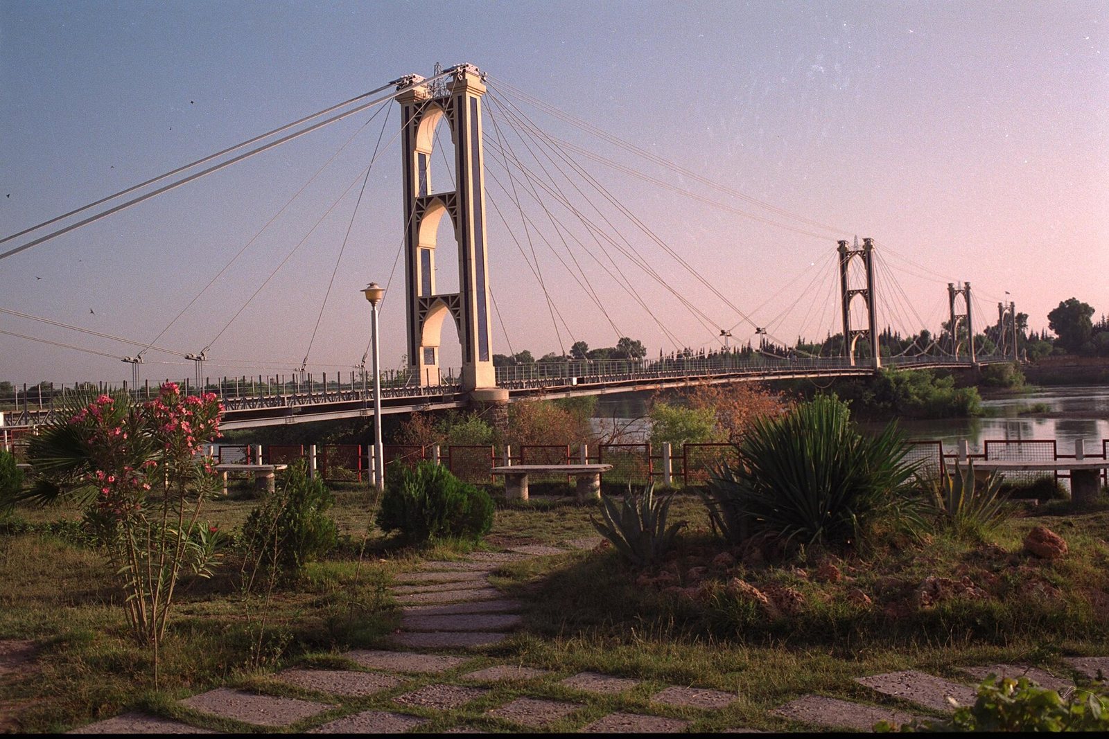الجسر المعلق