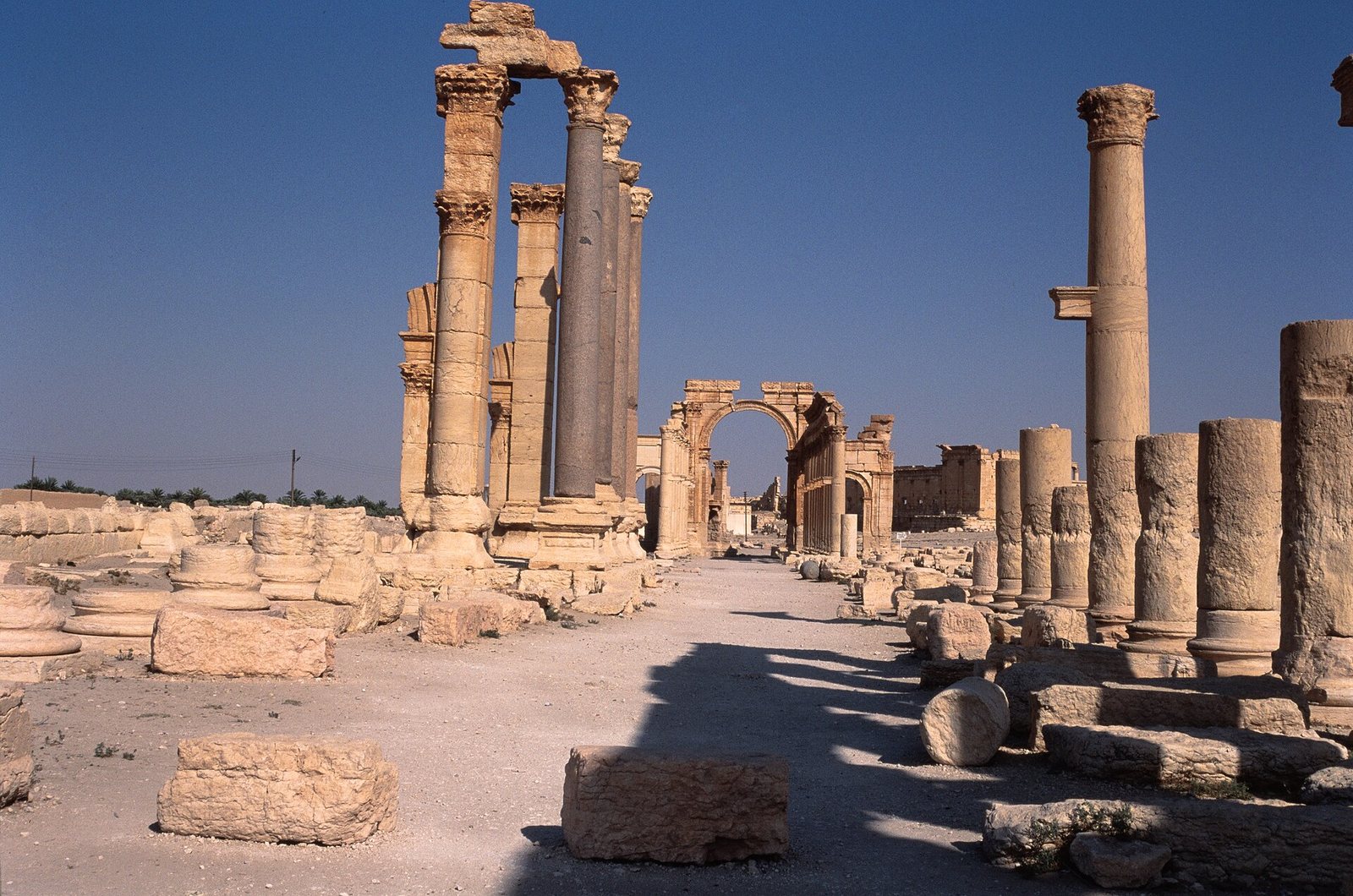 Great Colonnade of Palmyra