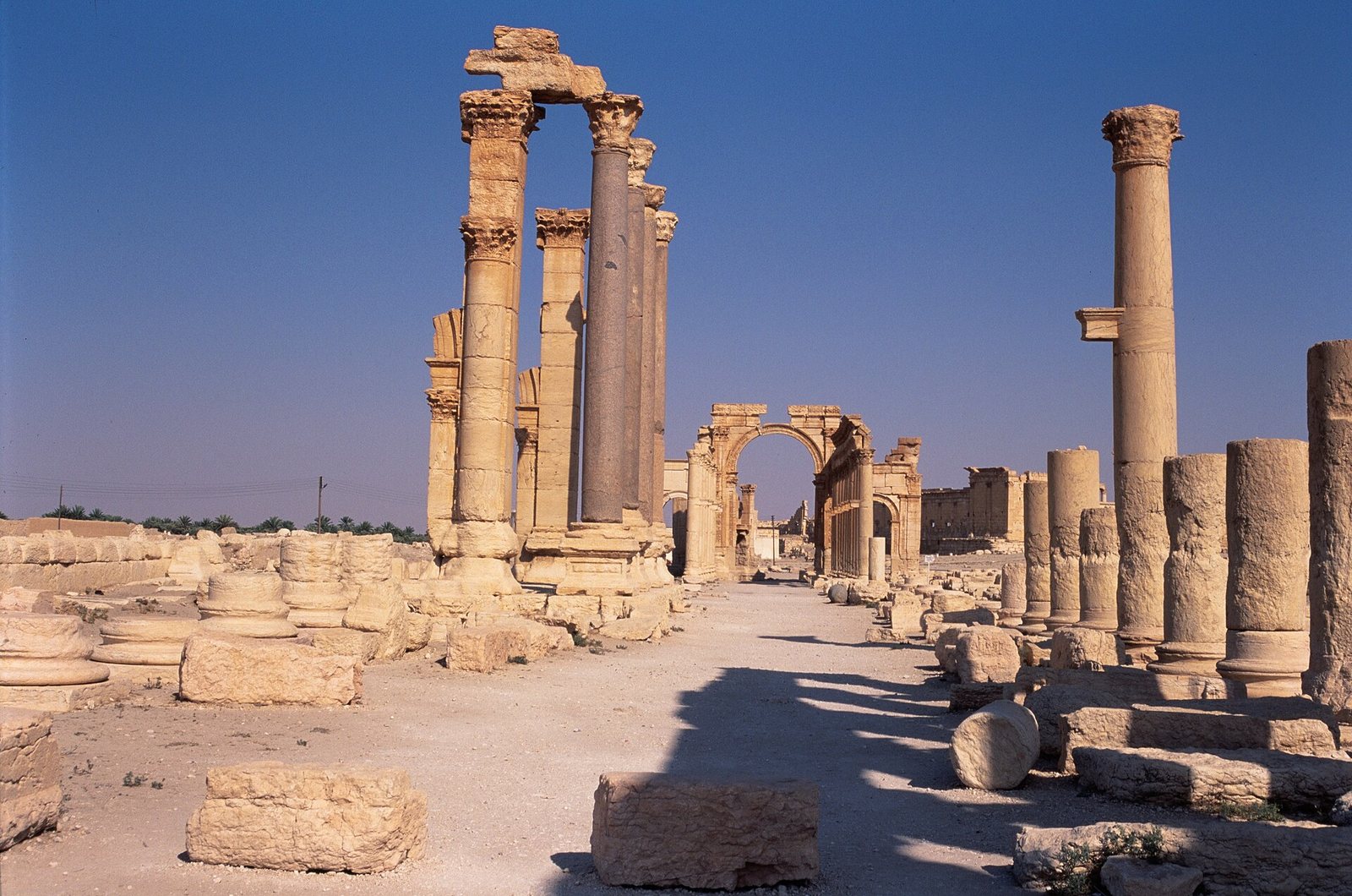 Great Colonnade of Palmyra