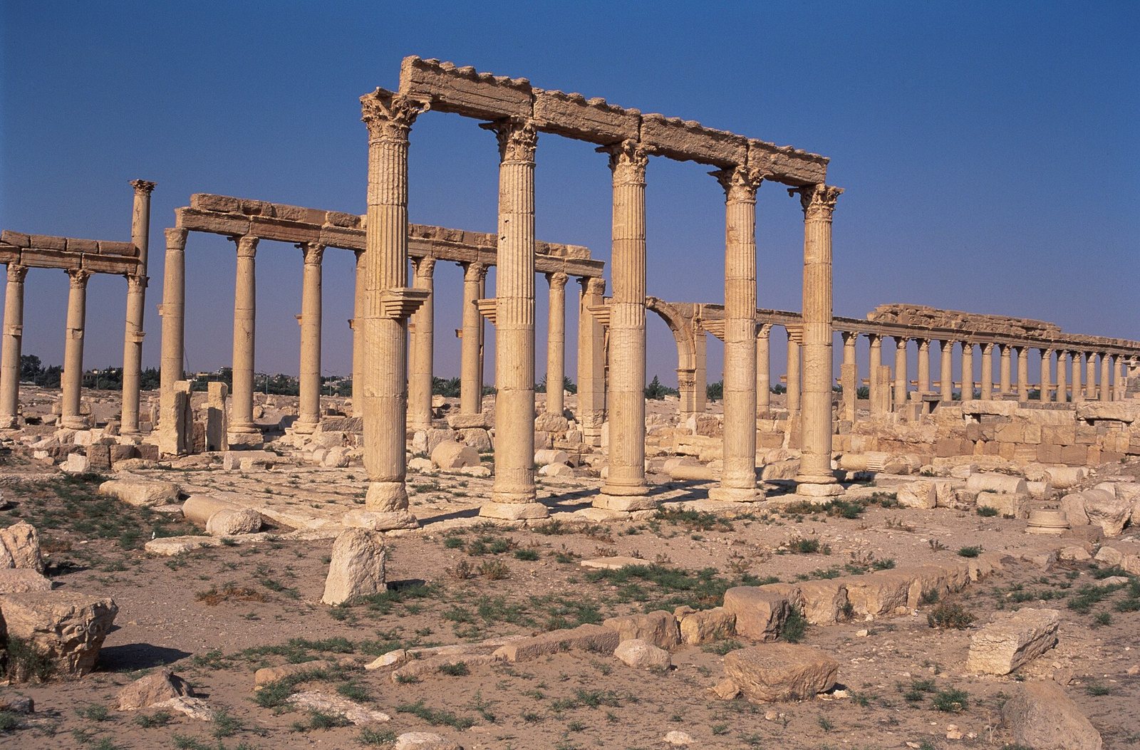 Great Colonnade of Palmyra