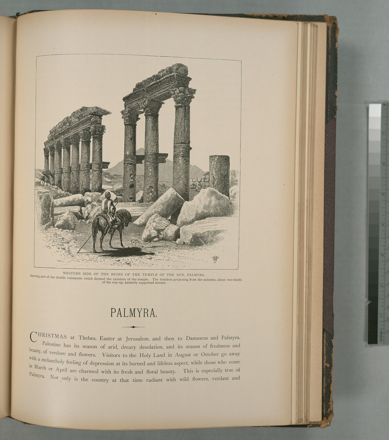 Great Colonnade of Palmyra
