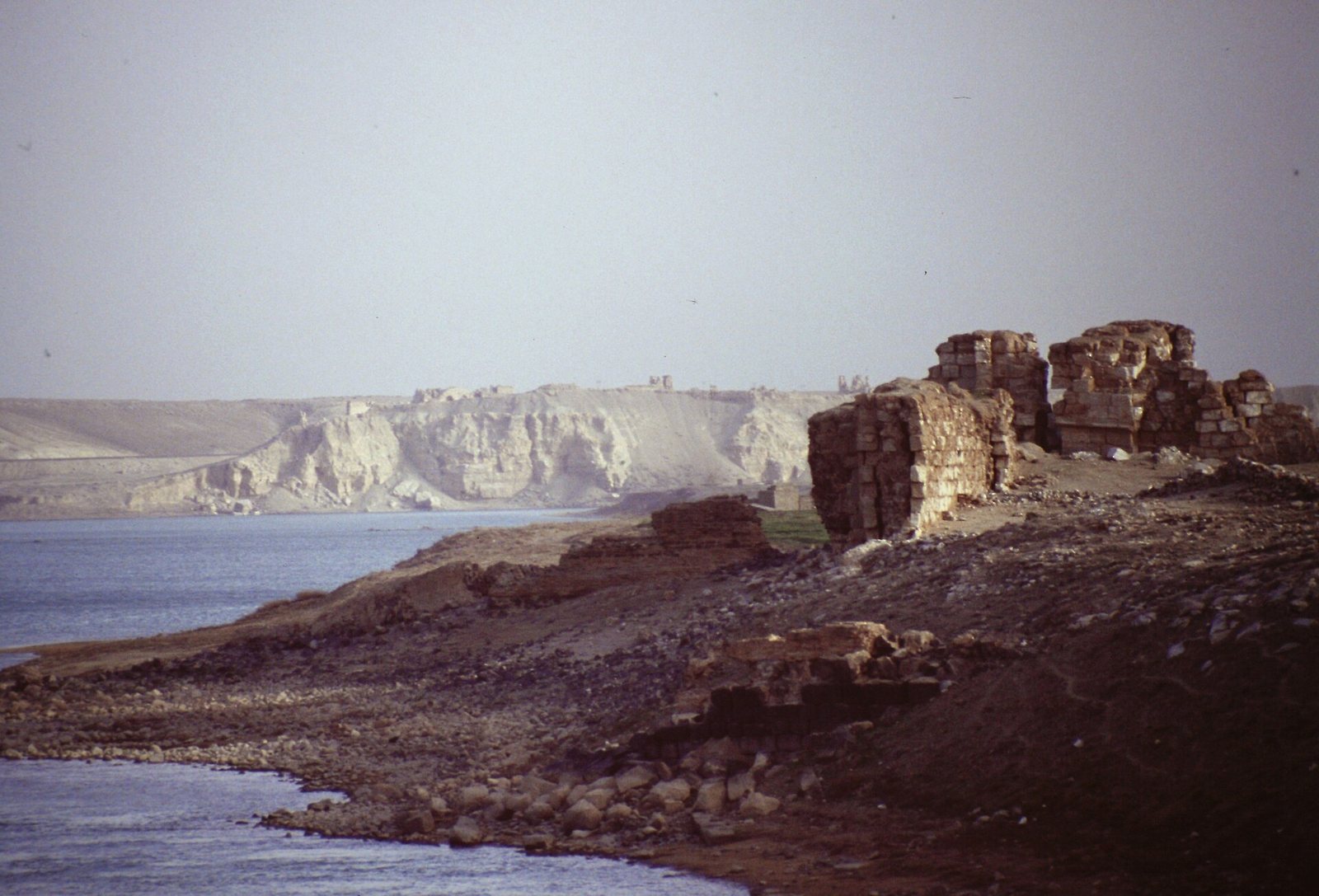 حلبية (زنوبيا)