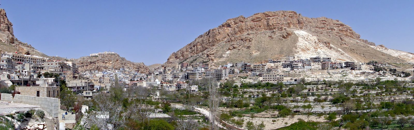 معلولا