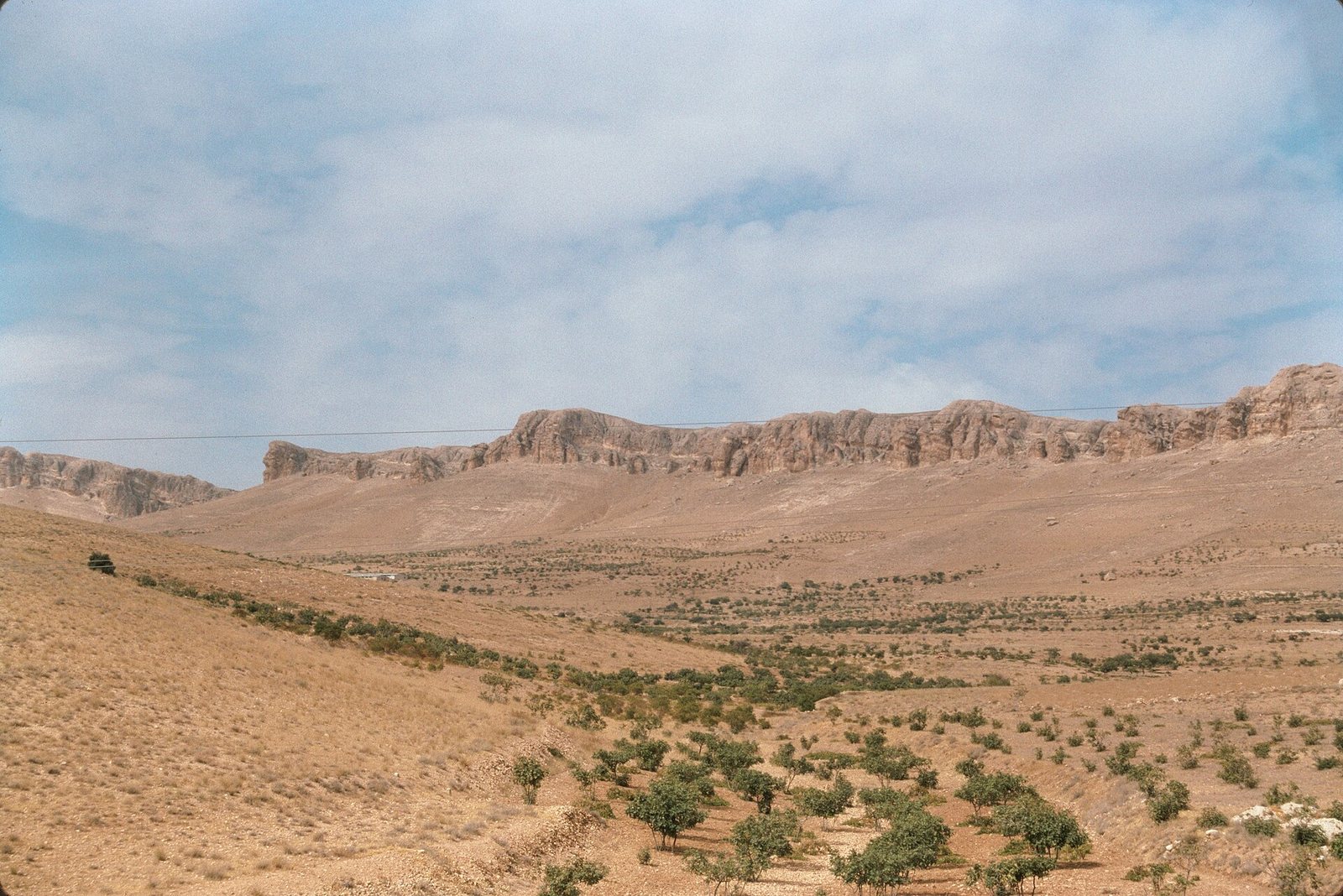 معلولا
