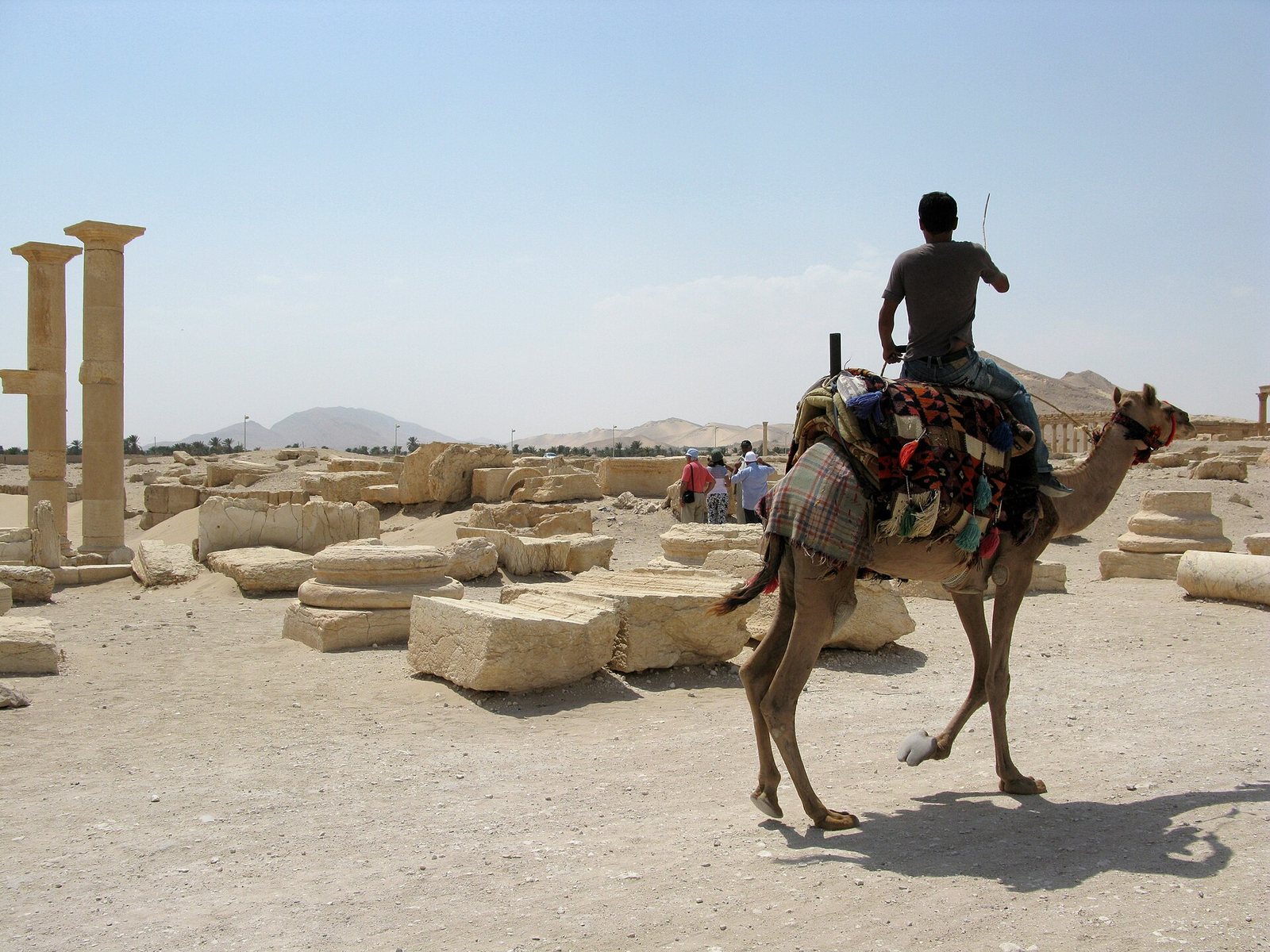 Palmyra
