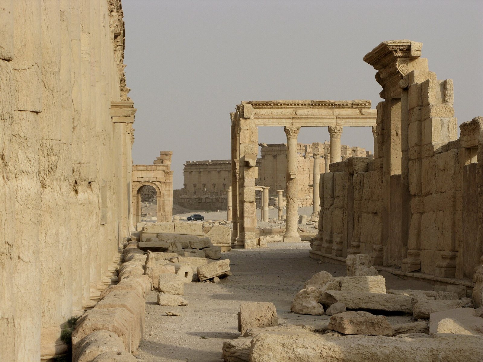 Palmyra