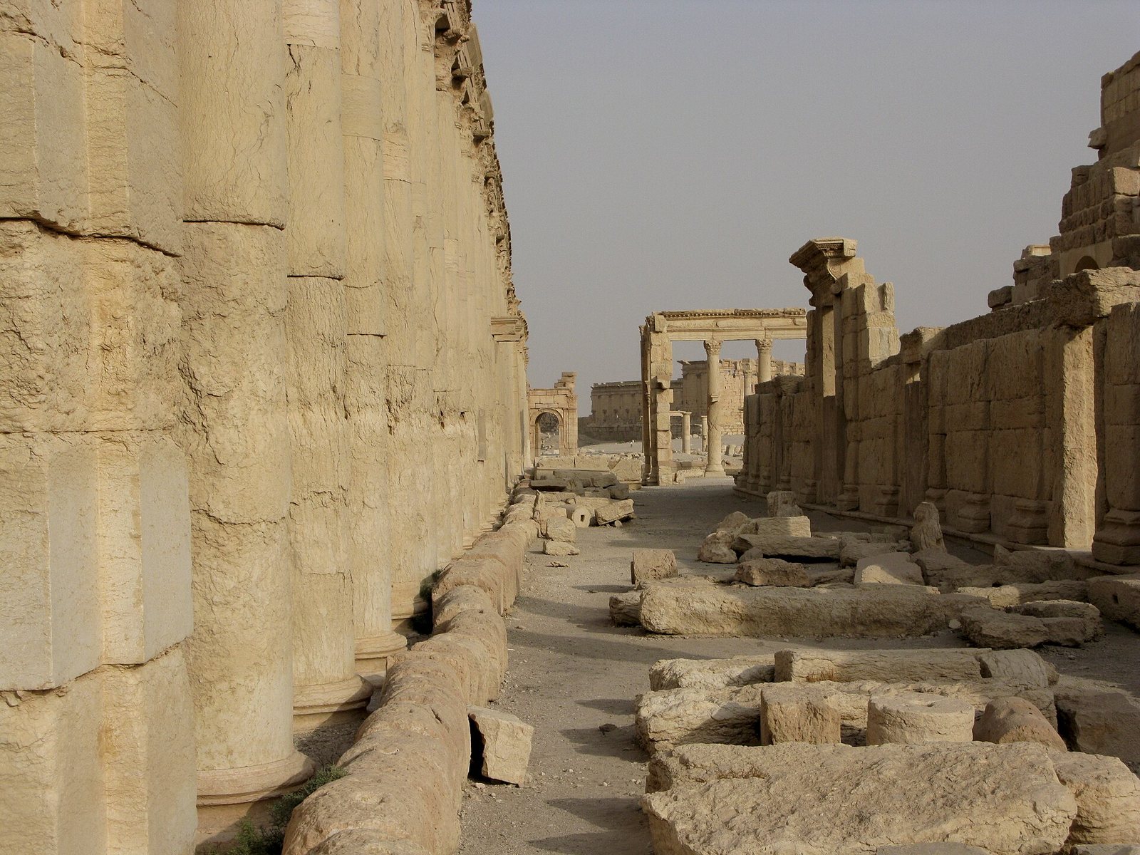 Palmyra