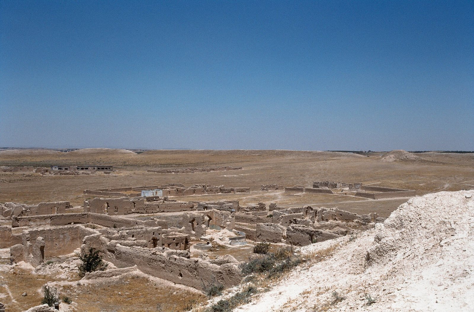 Qatna (Tell Mishrifeh)