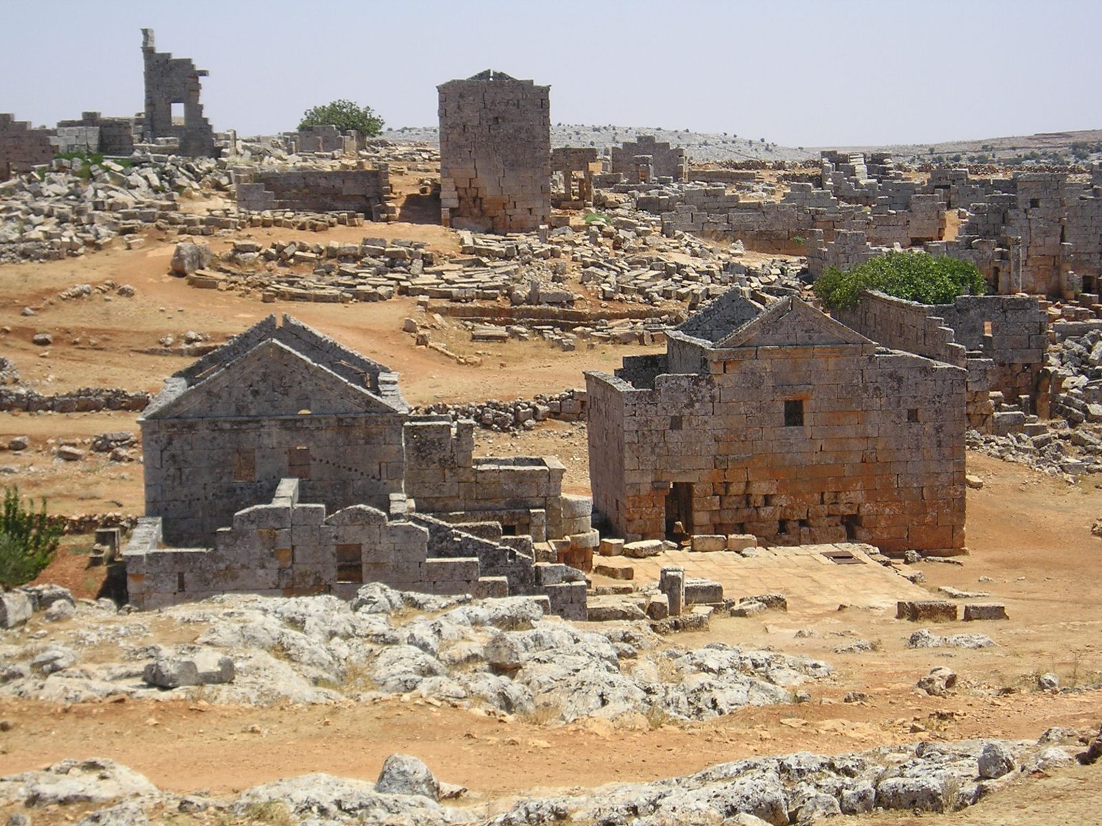سرجلة