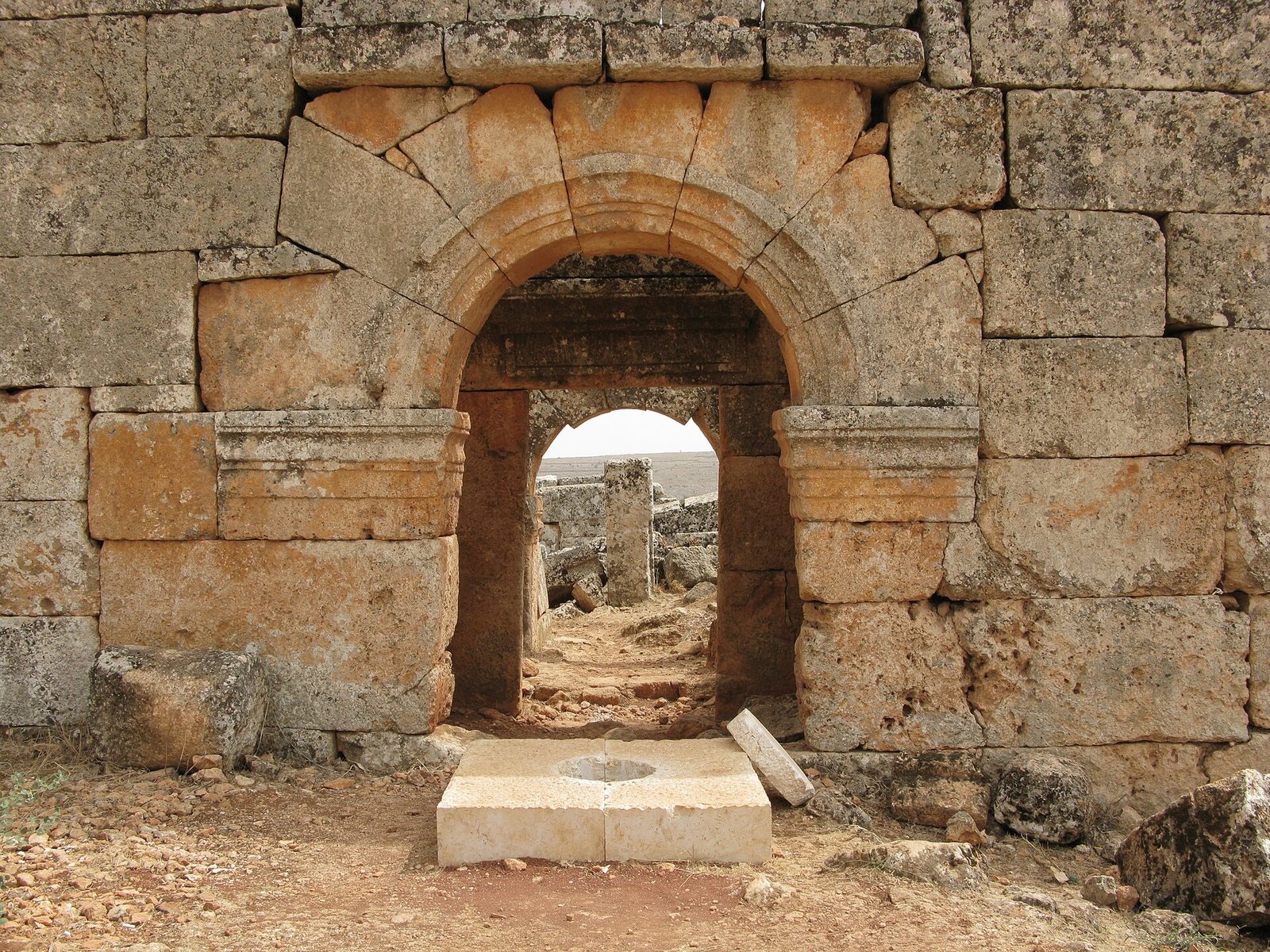 سرجلة