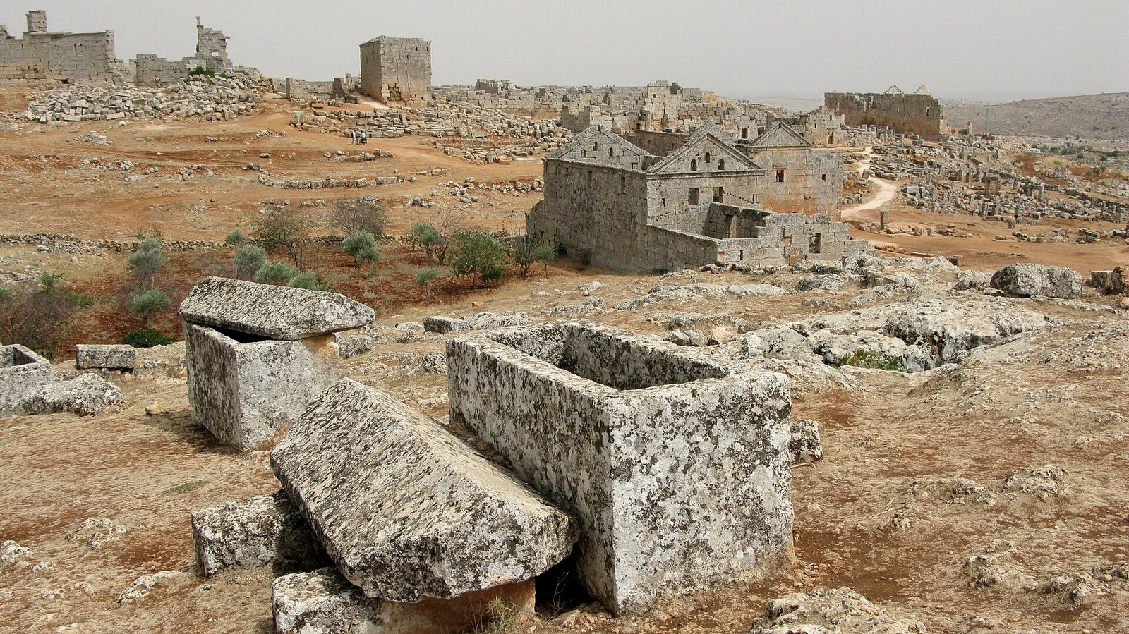 سرجلة