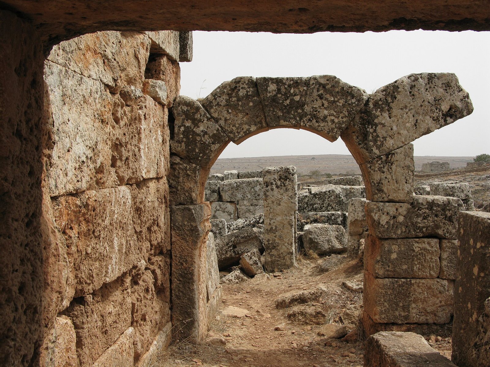 سرجلة