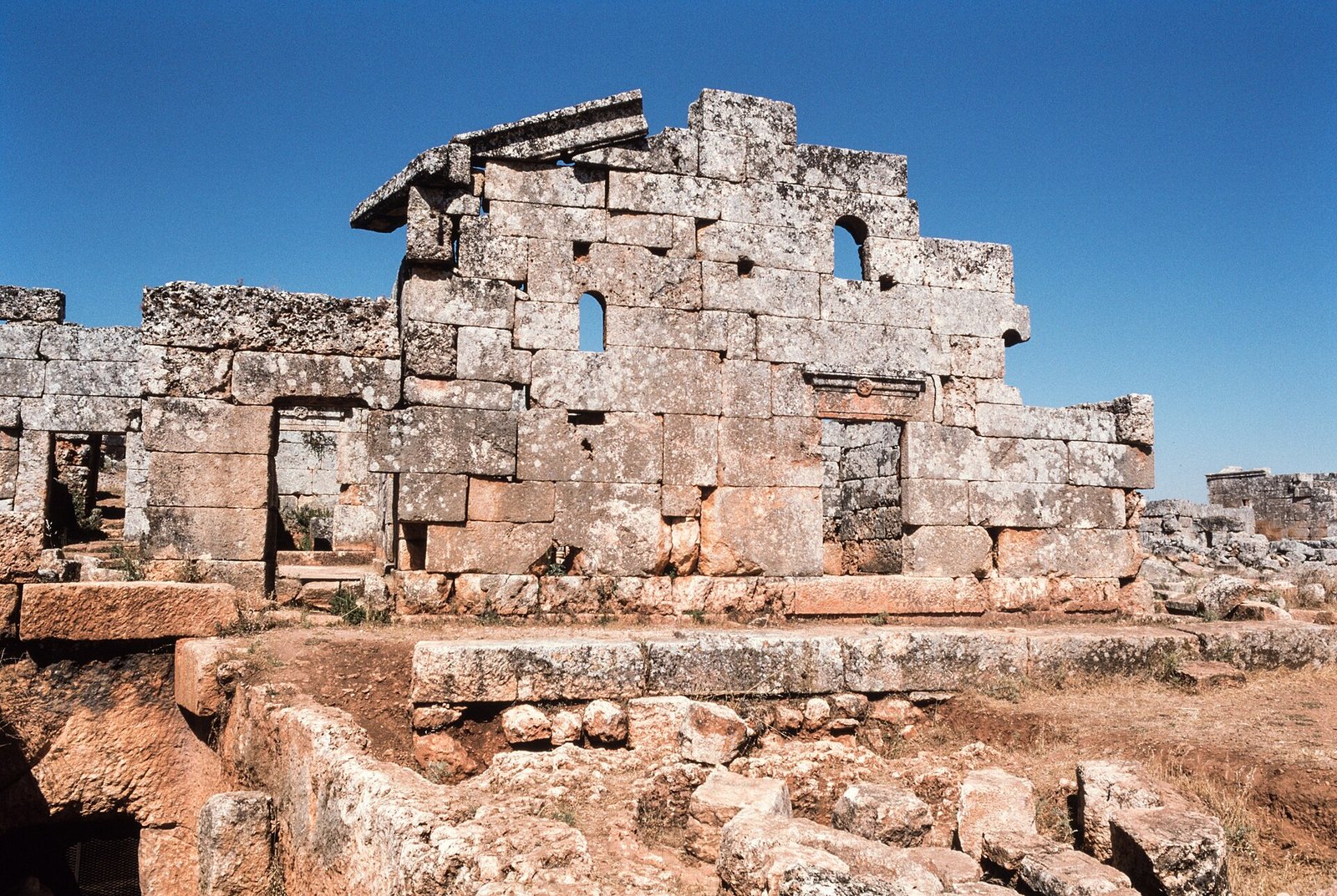 سرجلة
