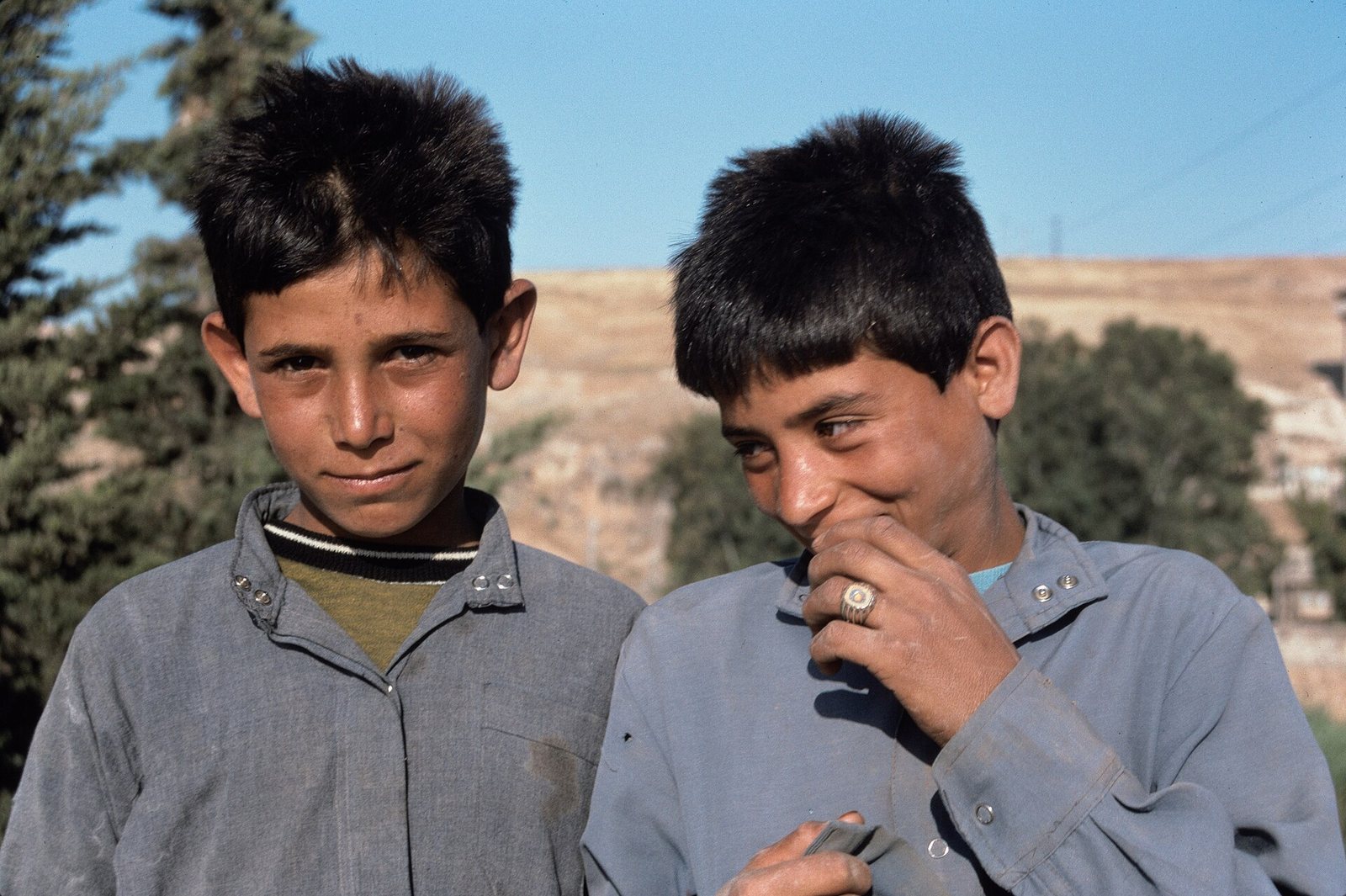 قلعة شيزر