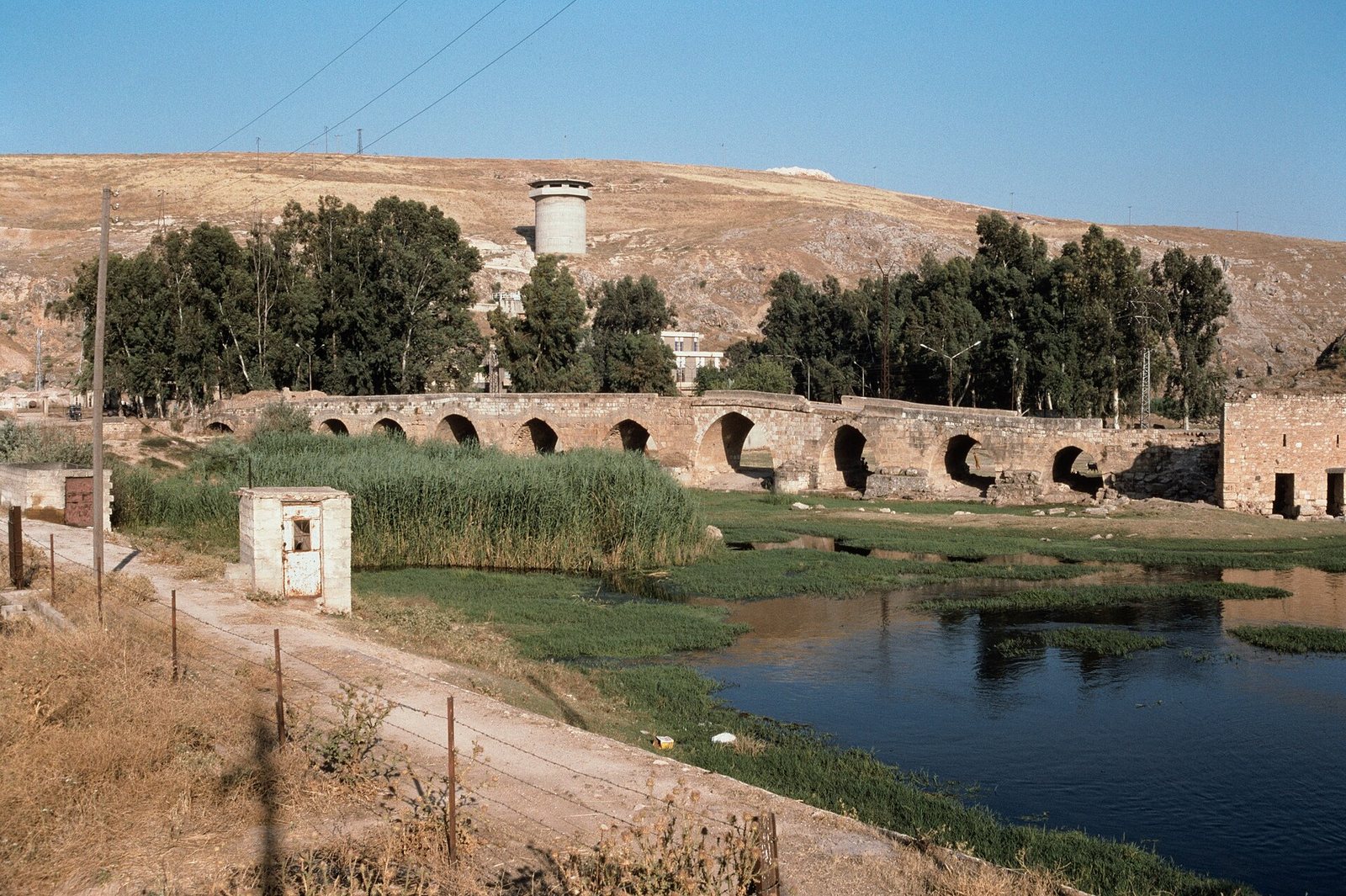 قلعة شيزر
