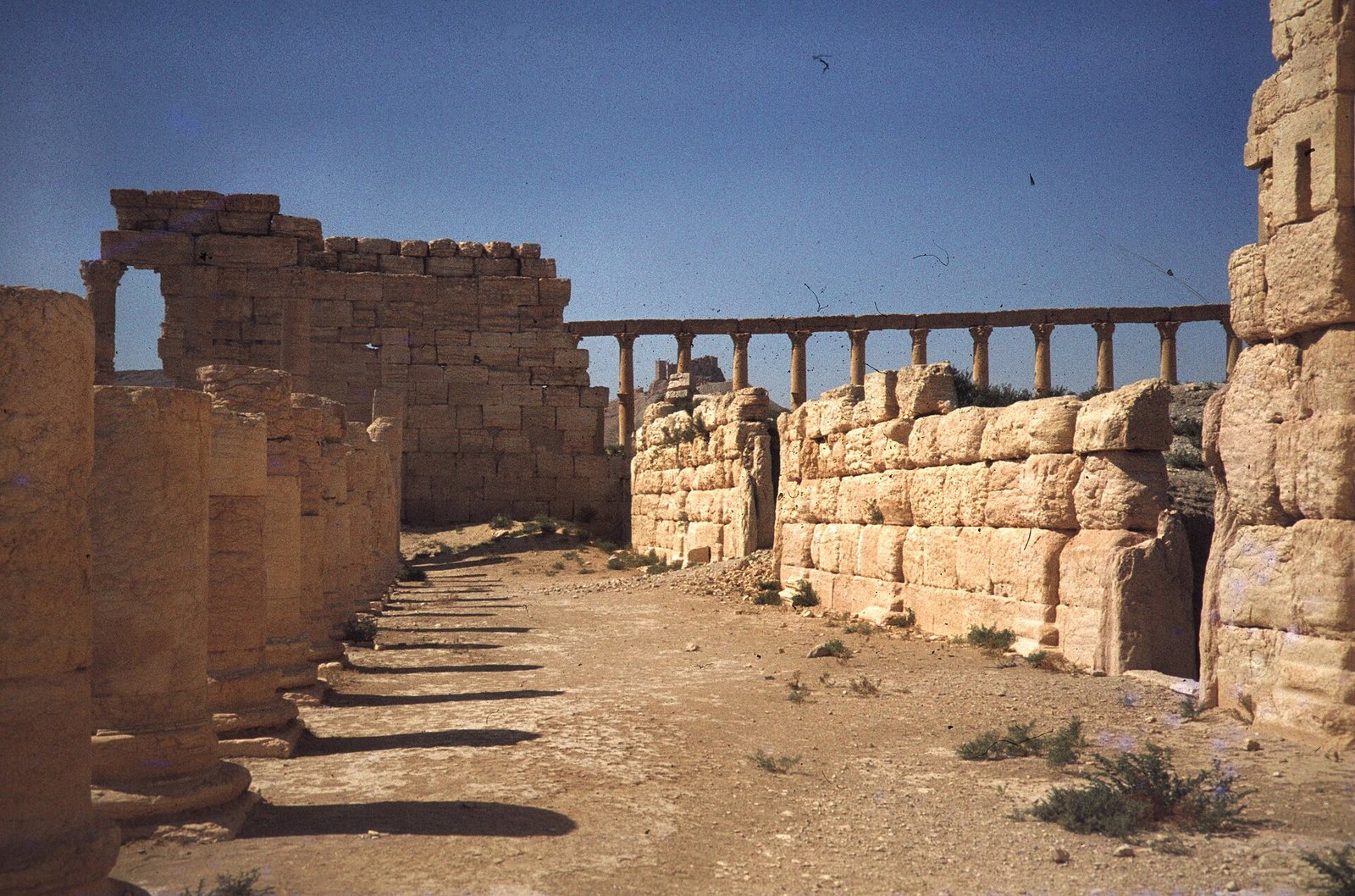 معبد بل
